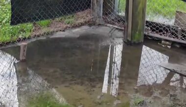 Harris County takes Roving Meadows wastewater operator back to court after years of sewage complaints