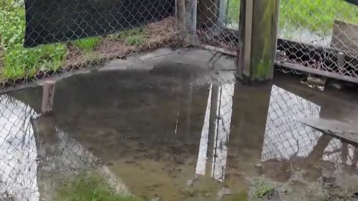 Harris County takes Roving Meadows wastewater operator back to court after years of sewage complaints