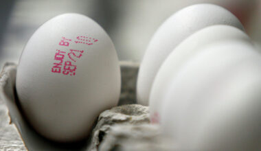 Over a million eggs recalled from stores due to salmonella risk