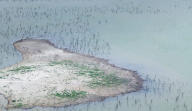 Can Texas floodwaters help Corpus Christi's water crisis?