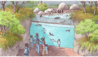 Dallas Zoo expansion to begin this fall with African Shorelines