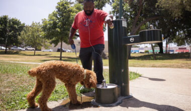 Jordan Butler and his dog Jax take a water break while walking at Lake Cliff Park in Dallas, Tuesday, July 21, 2026. Tuesday’s high is forecast by the weather service to be 105 degrees, with a heat index, or “feels like” temperature, of 112.