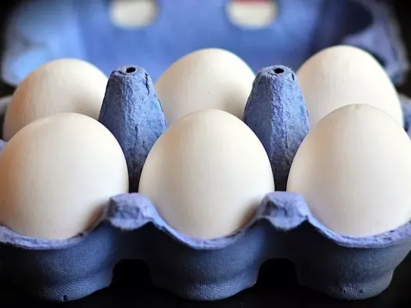 Millions of Texas eggs recalled over salmonella concerns