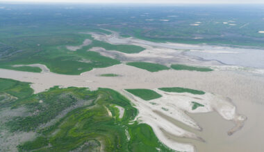 Choke Canyon Reservoir reaches highest level since 2024