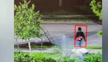 Thieves caught on camera stealing backflow preventers from Kingwood businesses, cost thousands in repairs 
