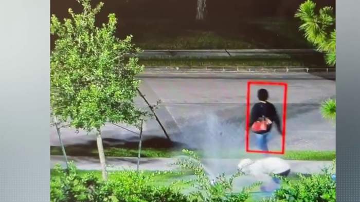 Thieves caught on camera stealing backflow preventers from Kingwood businesses, cost thousands in repairs 