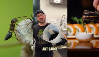 Texas Man Answers What 200 Dead Ants Taste Like. He Turned it Into Sauce 'Soy Sauce on Steroids.'