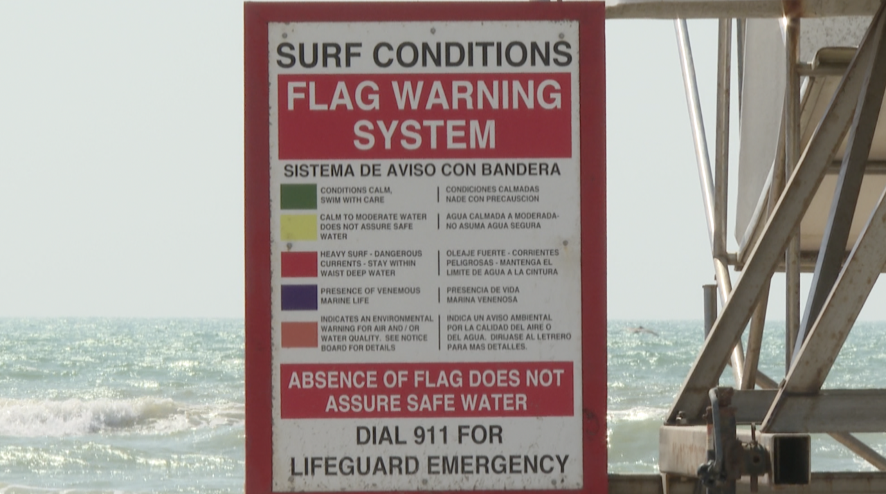 BEACH FLAG