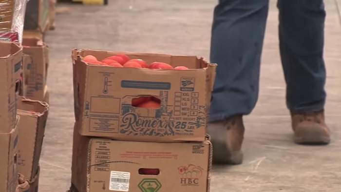 San Antonio Food Bank sees growing demand; New study shows 1 in 5 people food insecure in region