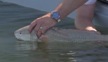 CCA Texas STAR fishing tournament going strong with still plenty to win