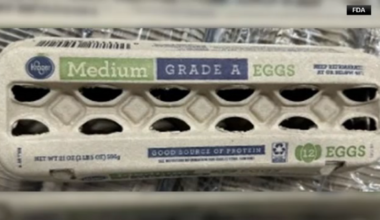 More than 19M eggs produced in Texas voluntarily recalled over potential salmonella contamination