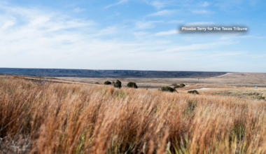 Texas Panhandle shaken by strongest earthquake to hit the region