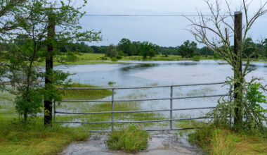 A gate leading to a flooded pasture.