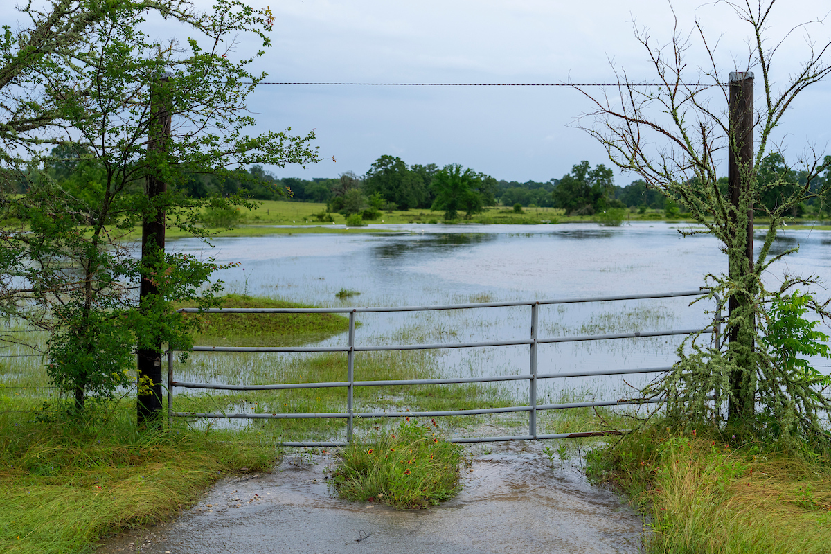 A gate leading to a flooded pasture.