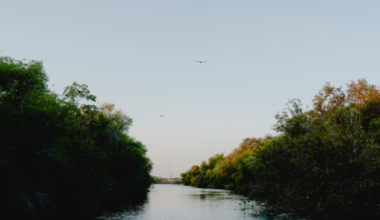 River authority’s budget woes a blow to Corpus Christi