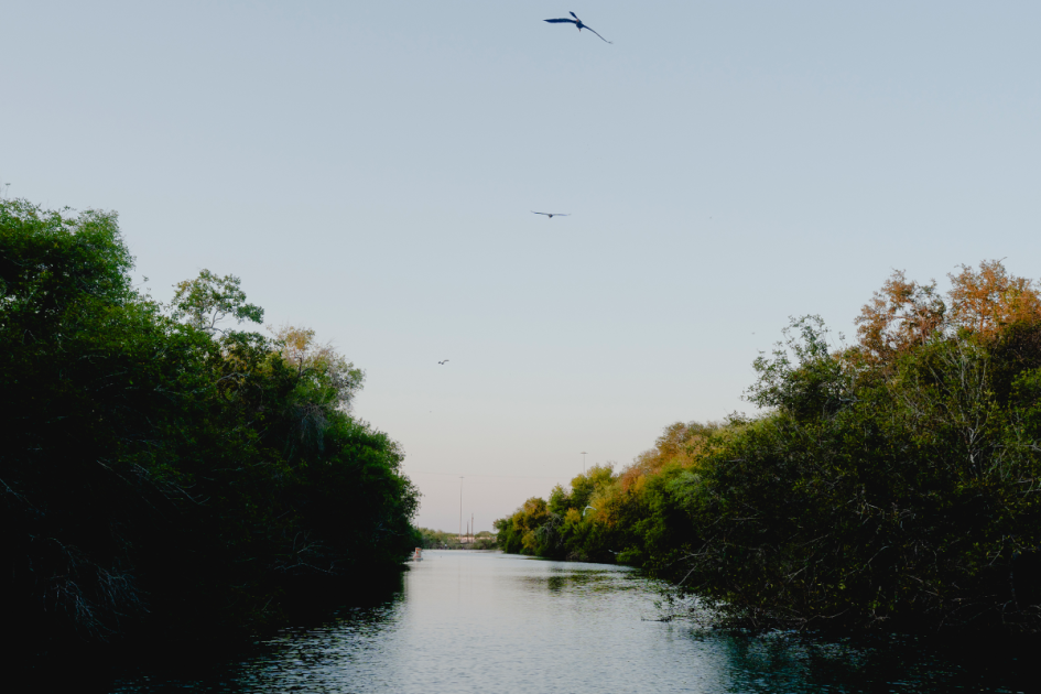 River authority’s budget woes a blow to Corpus Christi