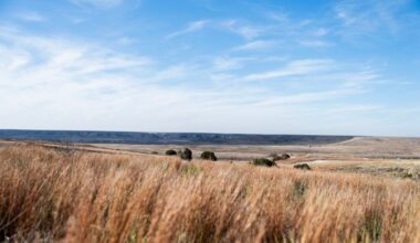 Earthquake hits Texas Panhandle