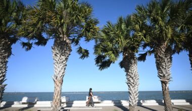 Corpus Christi rejects $60,000 gift to benefit water plant
