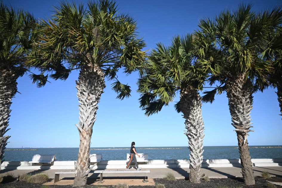 Corpus Christi rejects $60,000 gift to benefit water plant