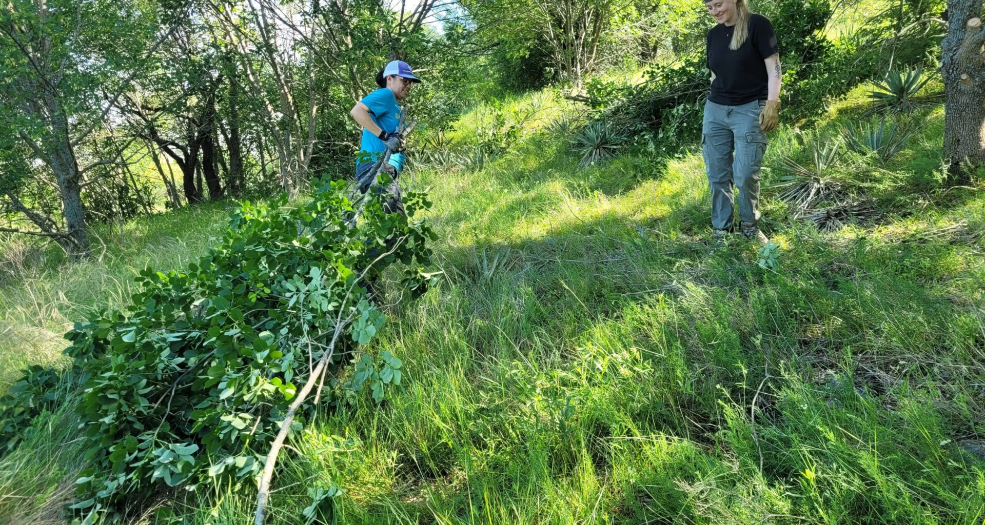 Volunteers let the sunshine in to preserve plant growth of Fort Worth park’s prairieland