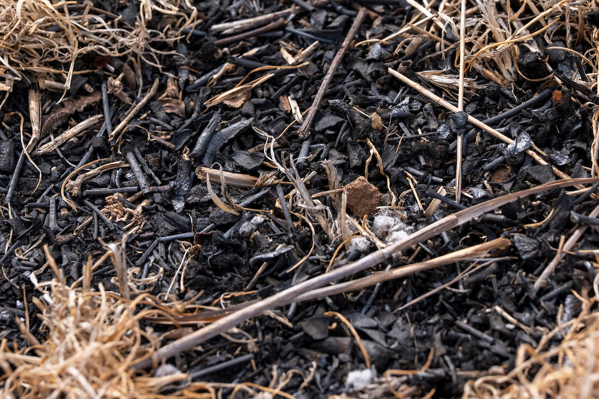 biochar remains on the ground where it has been incorporated into the soil