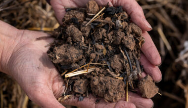 Funding available for Texas row crop and vegetable producers