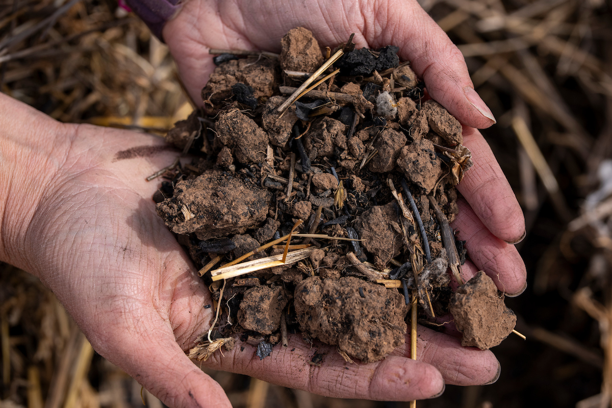 Funding available for Texas row crop and vegetable producers