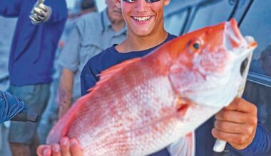 Snapper catch - Port Aransas South Jetty