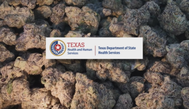 Here’s what you need to know about Texas’ newest THC ban