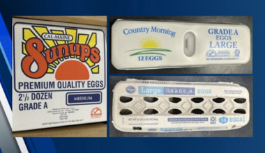 Nearly 1.6M eggs recalled in Texas and nearby states over possible salmonella contamination