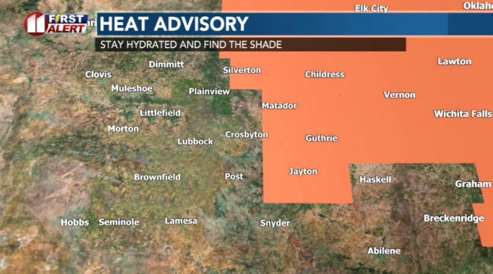 Heat advisory in effect for parts of our region. Heat advisory means that dangerous heat is...