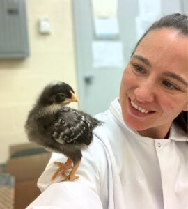 image of a woman with a bird on her arm
