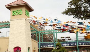 Bexar County residents can visit San Antonio Zoo for $8 on Locals Day