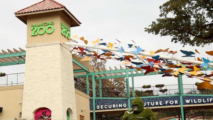 Bexar County residents can visit San Antonio Zoo for $8 on Locals Day