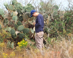 image of a man in a field with cacti