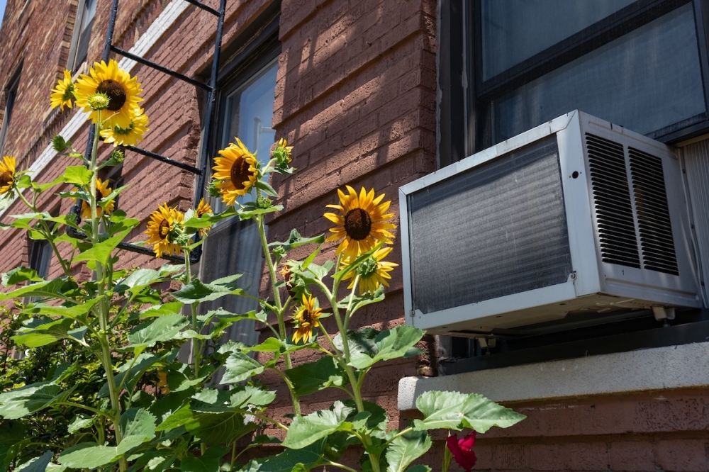 Houston council to consider ordinance that closes air conditioning loophole in rentals | Heights - River Oaks - Montrose