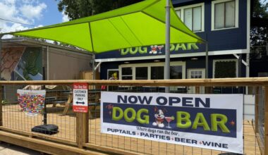 The Dog Bar welcomes paws to newly renovated patio location in Montrose