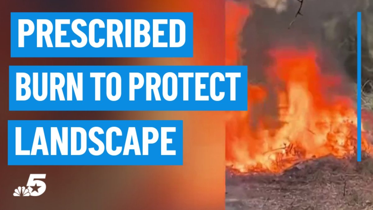 Why smoke and flames are part of a plan at the Fort Worth Nature Center – NBC 5 Dallas-Fort Worth