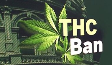 Texas THC Ban: What it means for dispensaries and customers – NBC 5 Dallas-Fort Worth