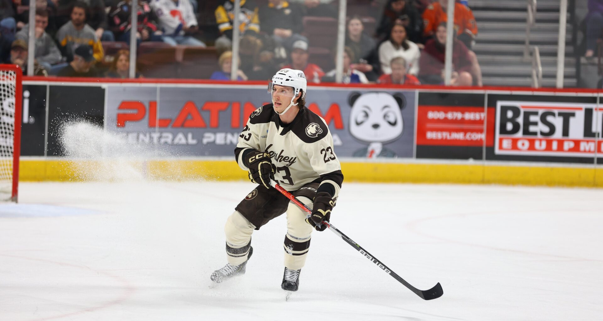 Texas Stars Sign Forward Mike Sgarbossa to AHL Contract | Texas Stars