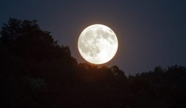Full Buck Moon rises this week: What to know before it peaks