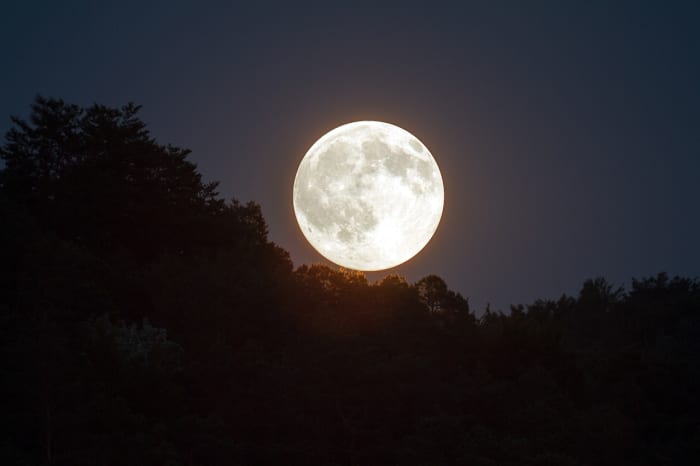 Full Buck Moon rises this week: What to know before it peaks
