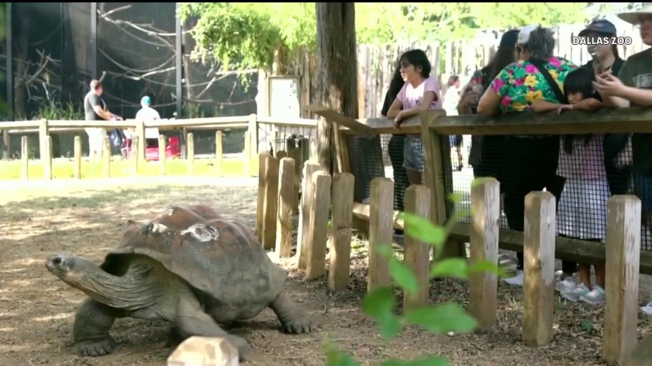 Economic impact of the Dallas Zoo