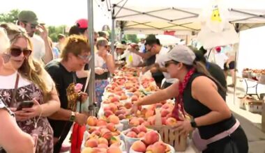 Parker County Peach Festival draws estimated crowd of 60,000