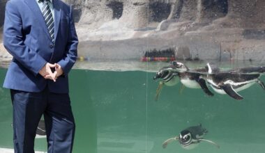 Q&A: Gary Lunsford, director of the El Paso Zoo and Botanical Gardens | Q&A