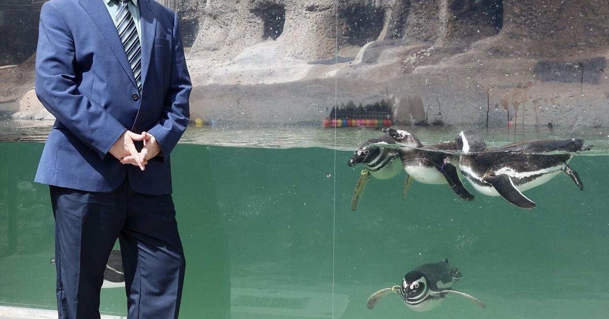 Q&A: Gary Lunsford, director of the El Paso Zoo and Botanical Gardens | Q&A
