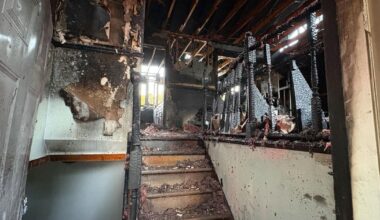 Pets killed, firefighters hurt in Plano house fire