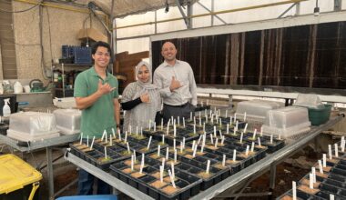 UTEP Researcher Helps Develop Low-Cost Spray to Grow Tomatoes in Salty Soils