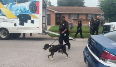 Update: 33 animals seized during eviction near Moody High School