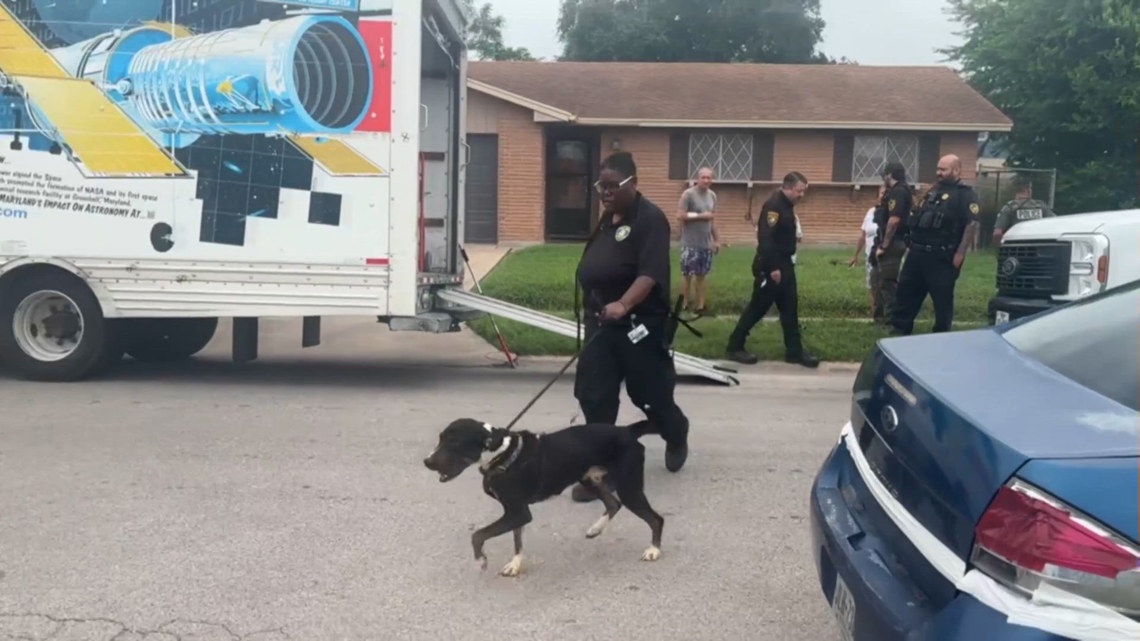 Update: 33 animals seized during eviction near Moody High School
